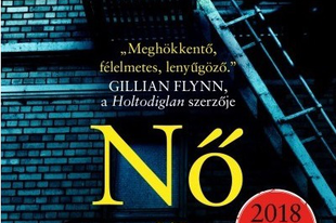 Könyvkritika: A. J. Finn: Nő az ablakban (2018)