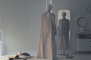 Goodnight Mommy / Ich seh, ich seh (2014)