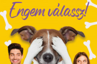 Könyvajánló: Erdős Zsuzsanna: Engem válassz!