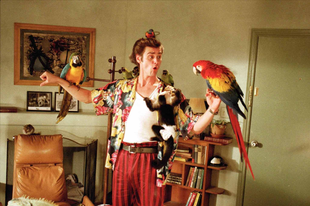 Ace Ventura: Állati nyomozoo / Ace Ventura: Pet Detective (1994)