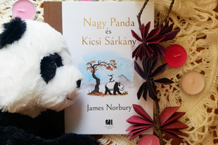 Könyvkritika: James Norbury: Nagy Panda és Kicsi Sárkány (2021)
