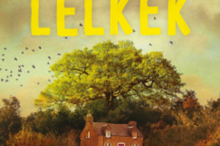 Könyvajánló: Clare Leslie Hall: Sebzett lelkek (2025)