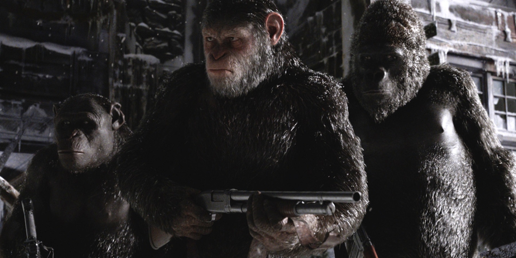 war-for-the-planet-of-the-apes-caesar-holding-a-gun.jpg