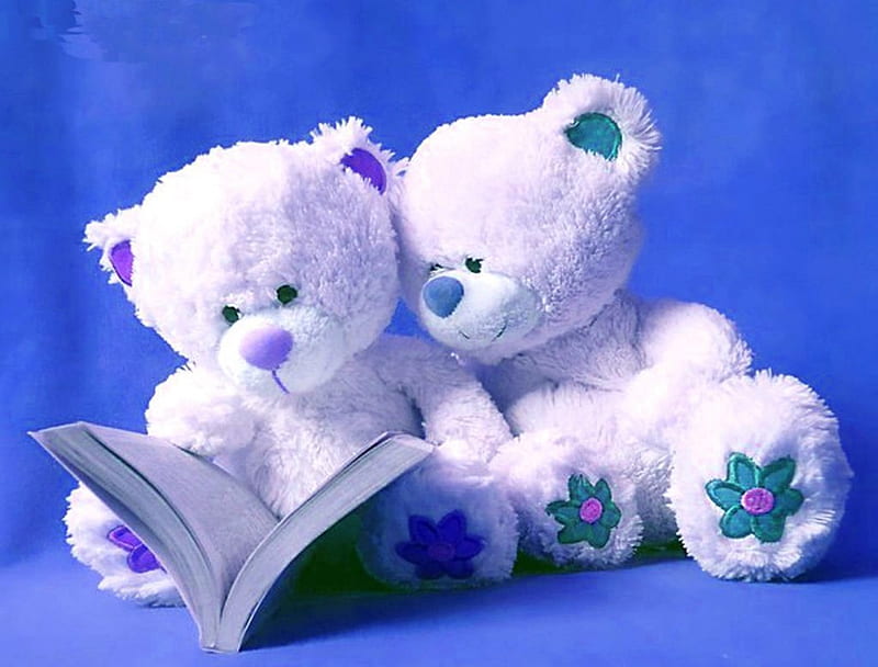 hd-wallpaper-sky-blue-teddy-bears-sky-teddy-book-bears-white-blue.jpg