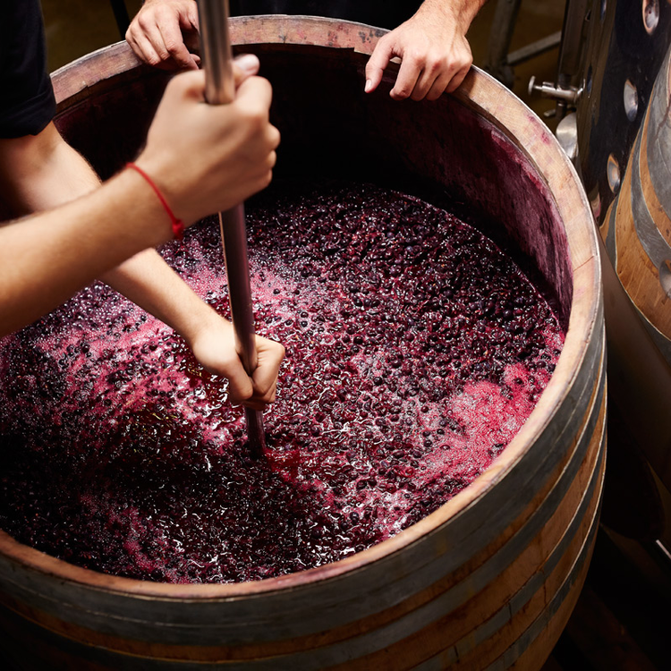 Így működik a többgenerációs borászat: ezek az előnyei