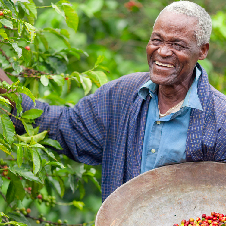Mit jelent pontosan a fair trade kereskedelem? Ebből a dokumentumfilmből megtudhatod