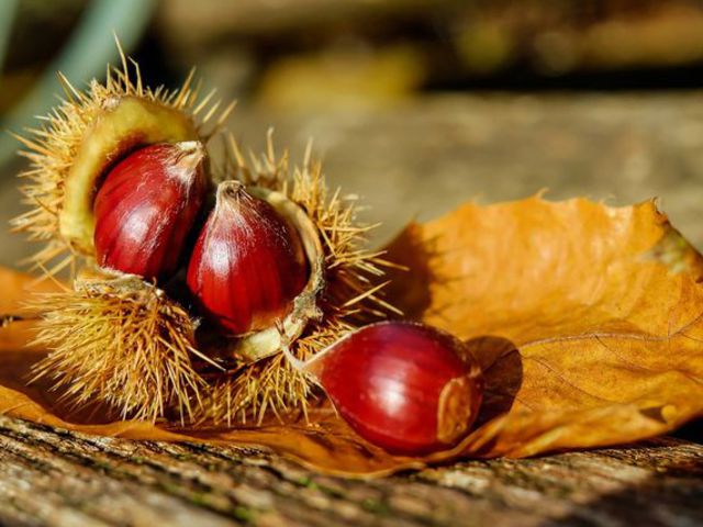 Gyors desszert allergiás vendégeknek - A keverem-kavarom gesztenyepite