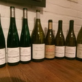 The genius of Pohronie - Bott Frigyes wine tasting