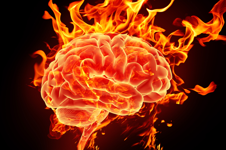 soltbrain_on_fire.jpg