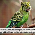 Legyen vége egy álvalóságról „tájékoztató” korszaknak!