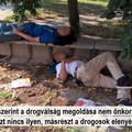 Drogosok pártján Kőbánya polgármestere