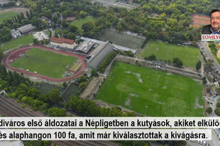 Alaphangon 100 fa és a kutyások mennek először a lecsóba a Népligetben