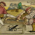 Hadsebészet a XVI. század Európájában