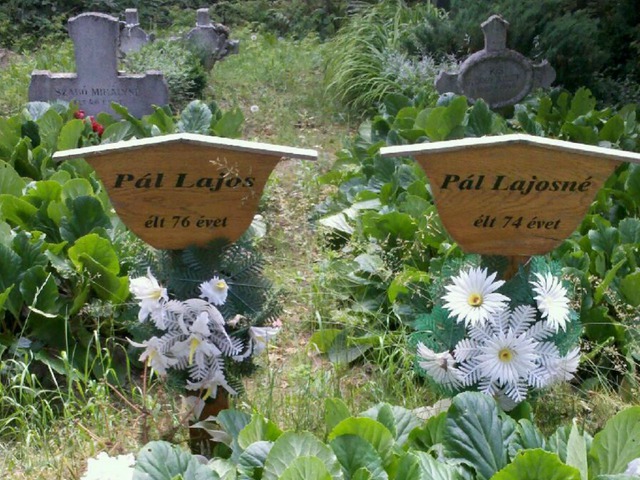 Pál Lajos (1891. - 1968.)