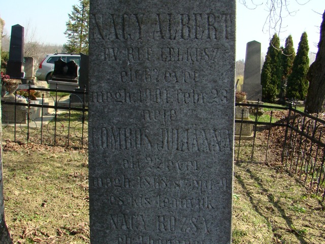 Nagy Albert (1834. - 1901.) Református lelkész