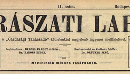 Horváth Imre tudósítása 1913-ból a somogyjádi bortermésről (Borászati Lapok – 45. évfolyam, 41. szám)