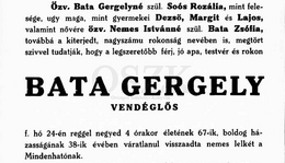 Bata Gergely (1865. - 1932.) - Csizmadia mester