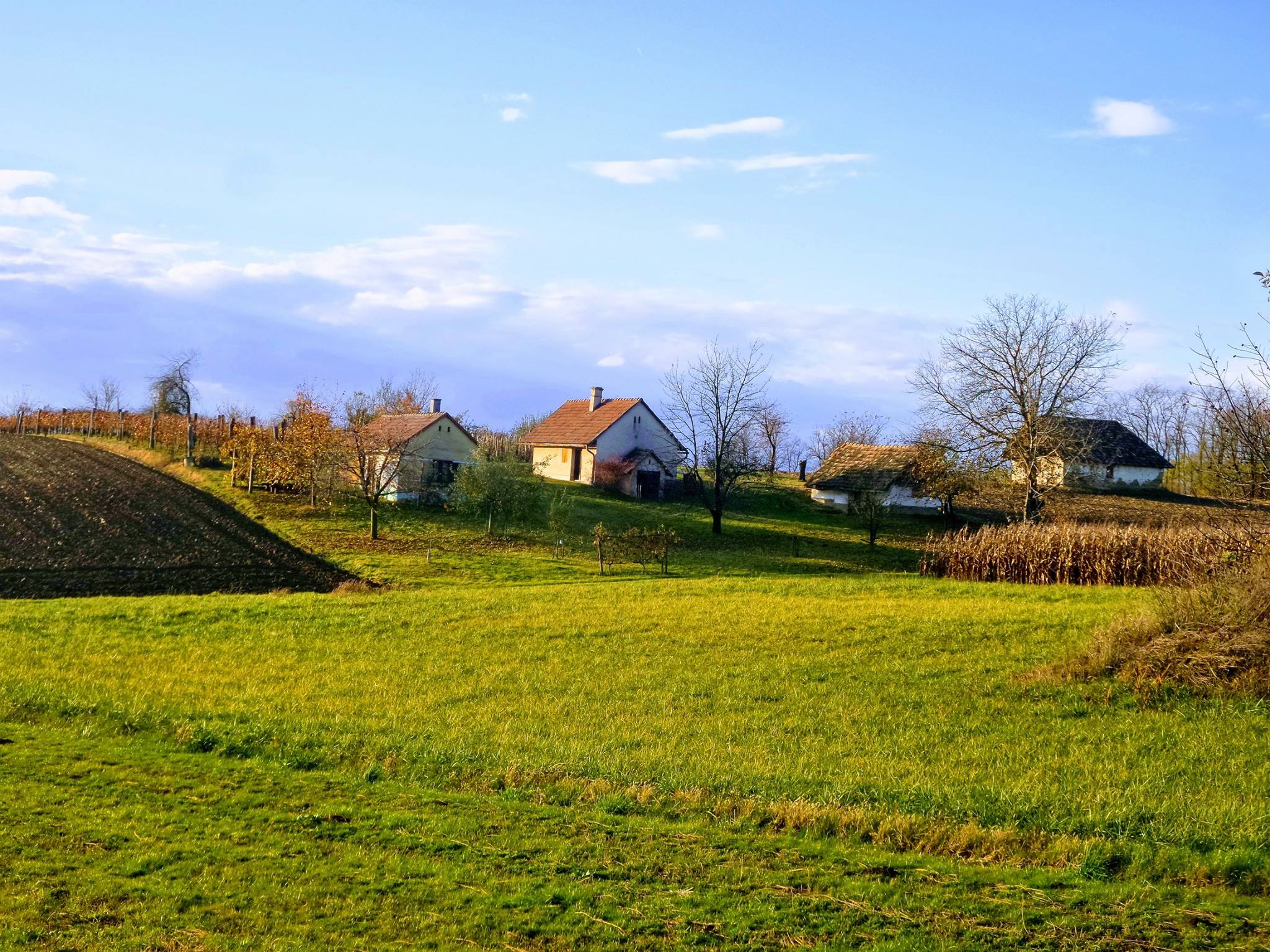 Felső hegy 2015-ben