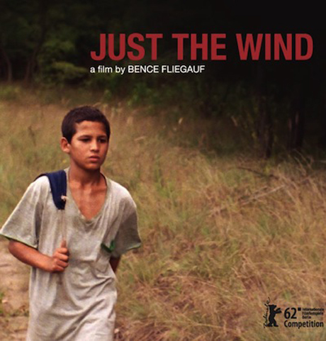 Just-the-wind-a-film-by-Bence-Fliegauf-2012-.jpg