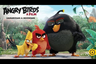 The Angry Birds Movie trailer !