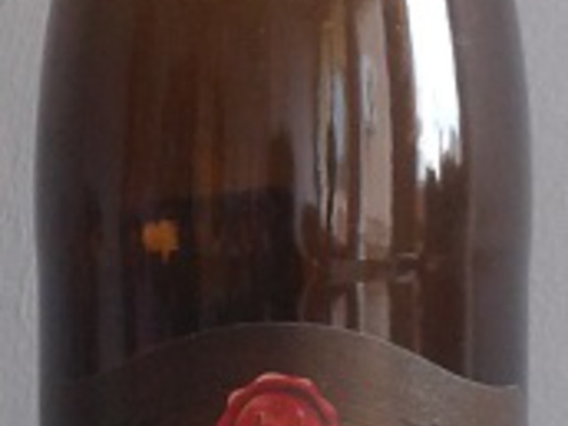 Primátor Stout