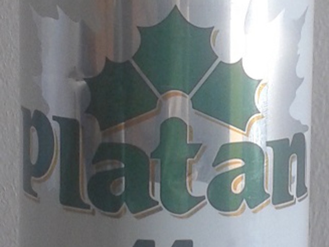Platan 11
