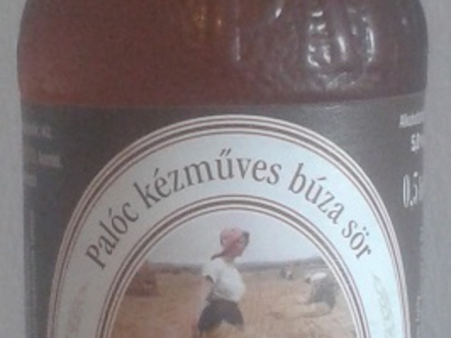 Palóc Kalász