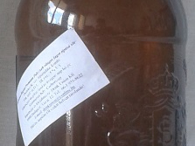 Regent Lager