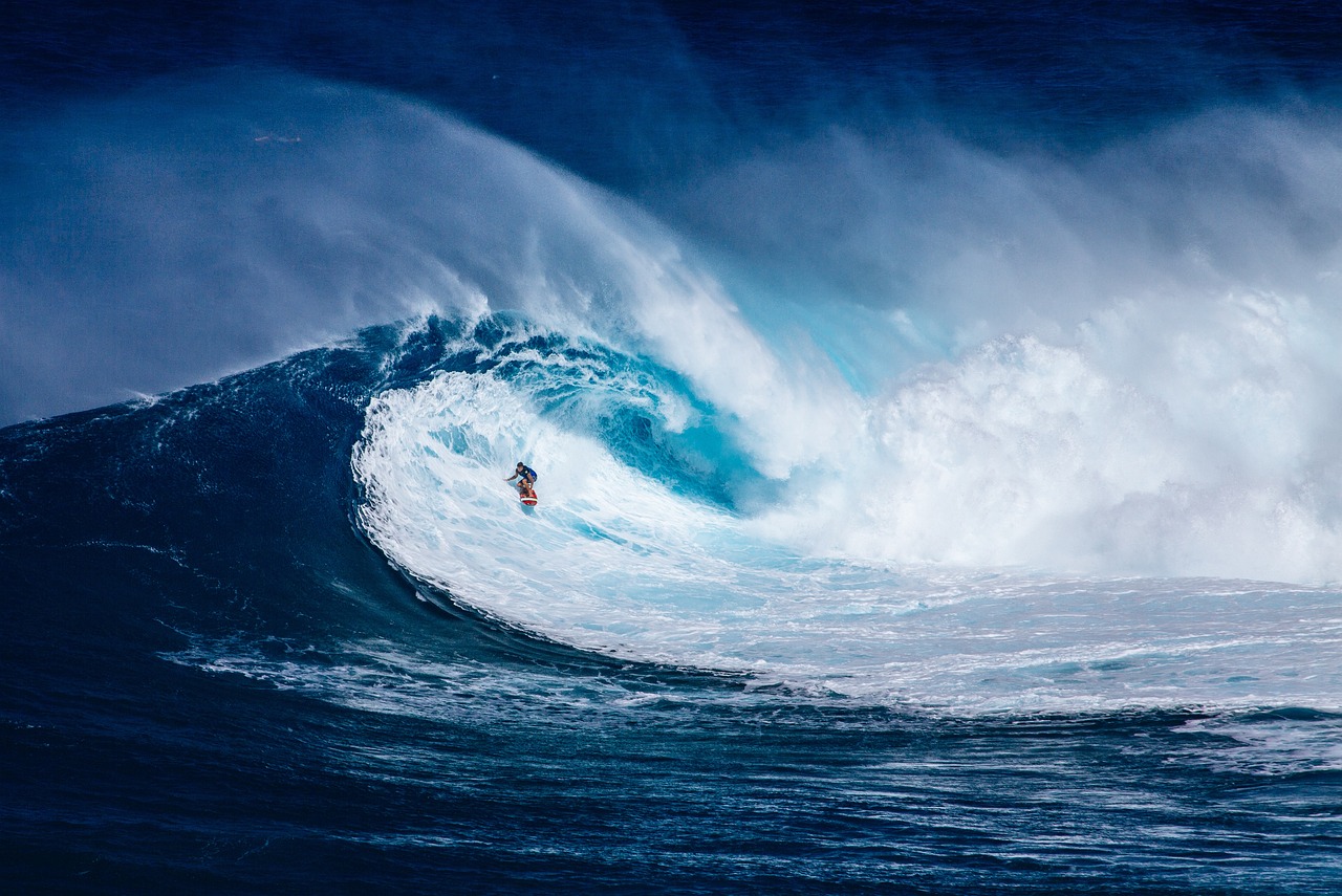 surfer-1836366_1280.jpg