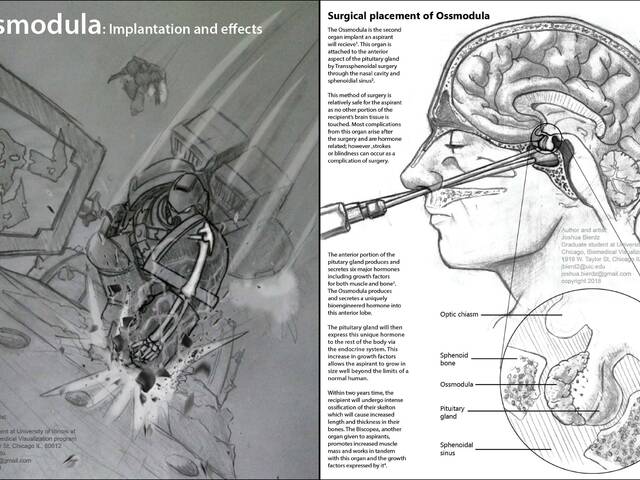 Hogyan kreálj Space Marine-t?