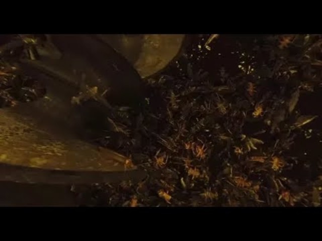 Erősödik a Snowpiercer PTSD-m