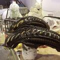 Rövidfilmkvadráns: Alien a senki földjén