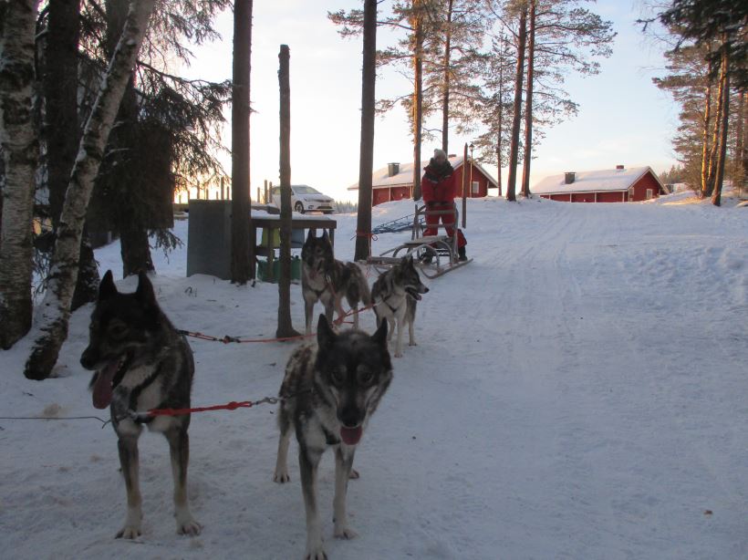 lapland8.JPG