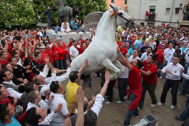 fiesta-caballos-del-vino-3.jpg