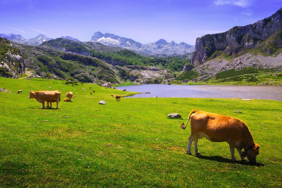 lagos_de_covadonga_asturias.jpg