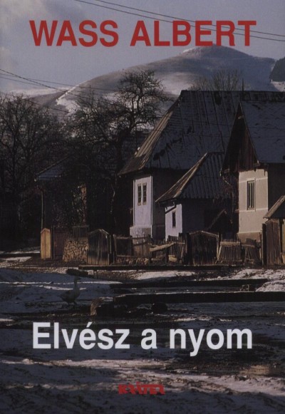 elvészanyom.jpg