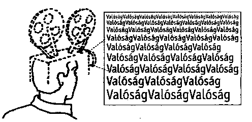 valosag.png