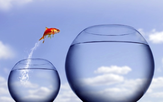 istock_000005754119small.jpg
