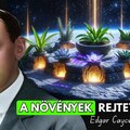 8 Spirituális Növény, ami Harmonizálja a Lelket Edgar Cayce szerint
