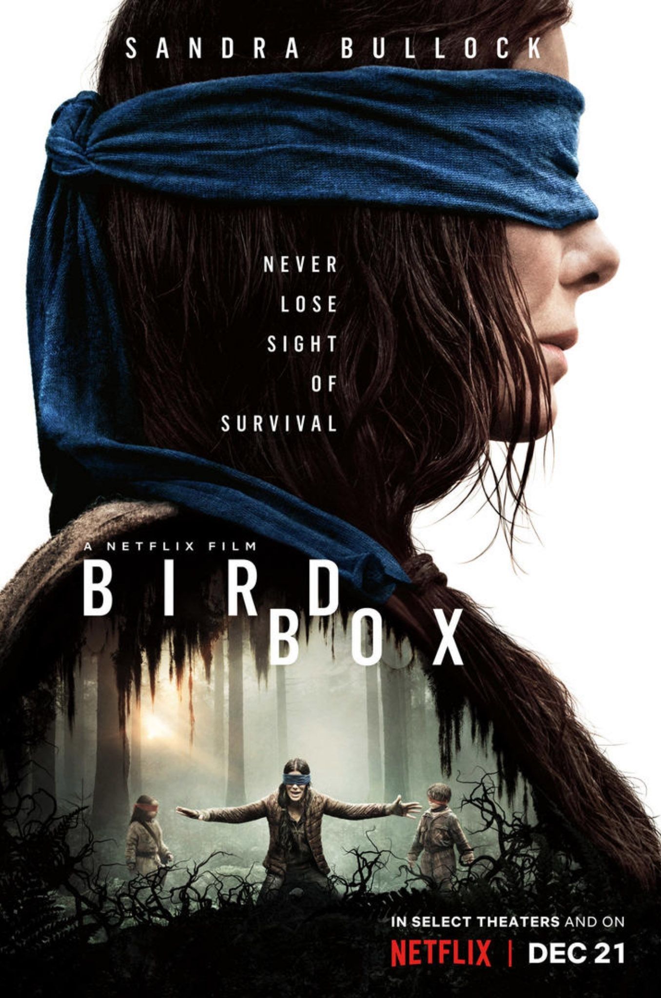 bird_box.jpg