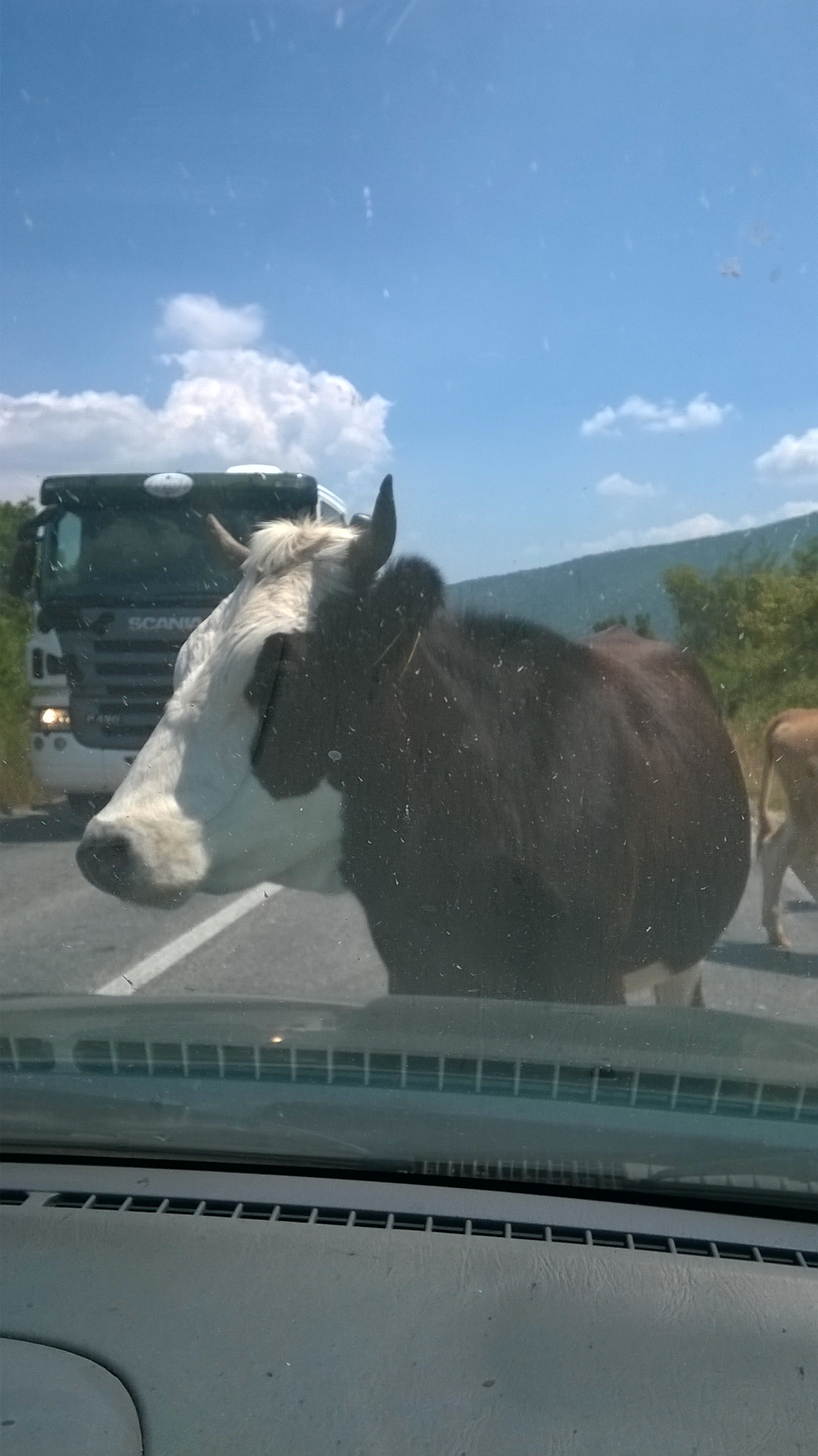 :) Volt, akinek nagyon megtetszett a kocsi.