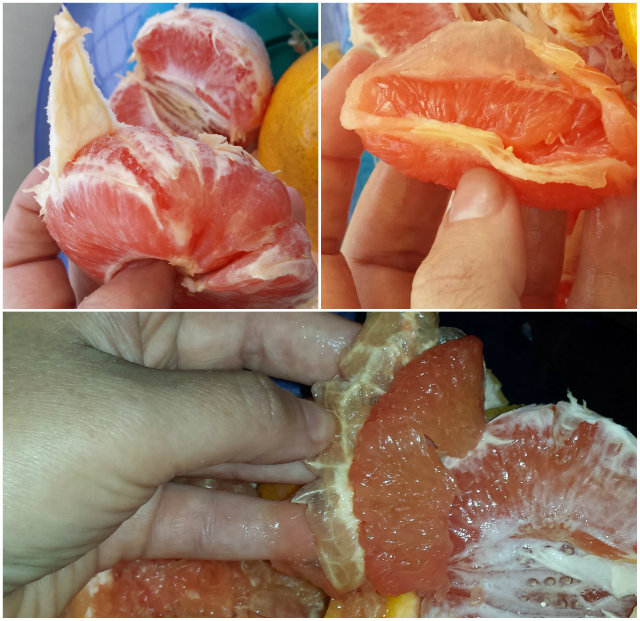 grapefruit_hamozasa.jpg