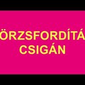 Gyúrjál szépen! - Törzsfordítás csigán