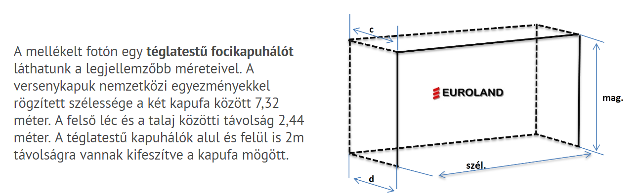 2016-12-17-teglatestu-focihalo-meretezes.png