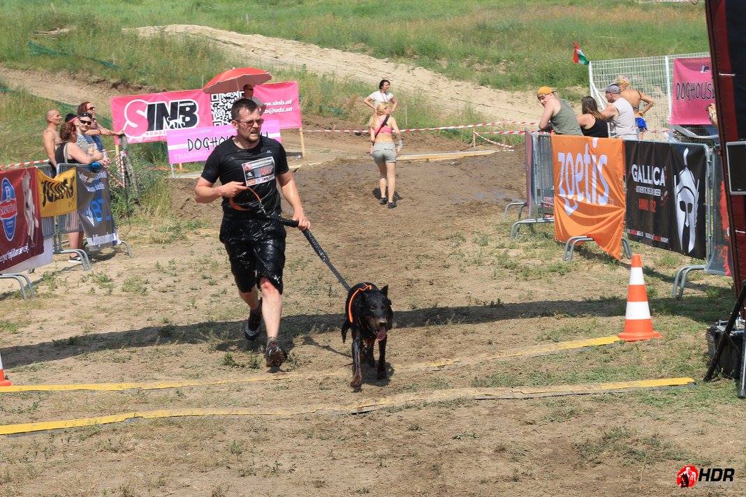 beauceron-berger-de-beauce-bas-rouge-gardiens-du-chaos-kennel-hard-dog-race-finishers-dog-sport-working-dogs-pogo.jpg
