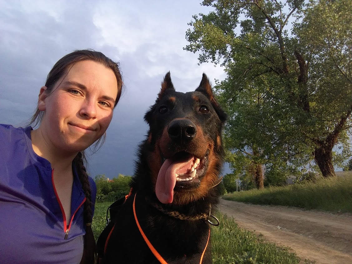 beauceron-berger-de-beauce-gardiens-du-chaos-kennel-working-dog-sport-canicross-kutyas-futas-terepfutas-futniyo-rebelle-harness-selfie.jpg