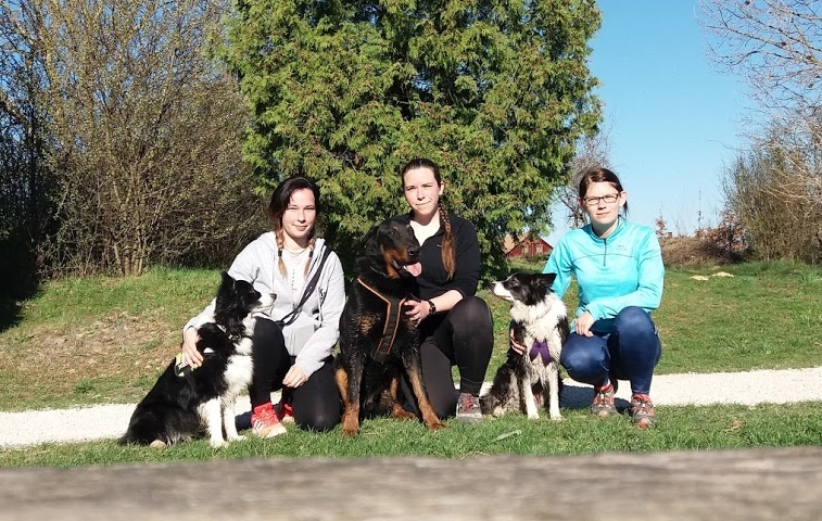 beauceron-berger-de-beauce-gardiens-du-chaos-kennel-working-dog-sport-herding-sheepdog-troupeau-hard-dog-race-canicross-border-collie.jpg