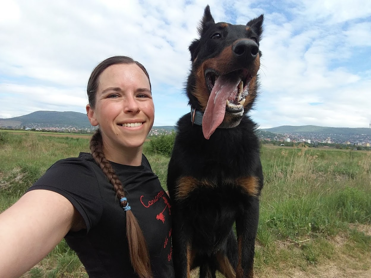 beauceron-half-marathon.jpg