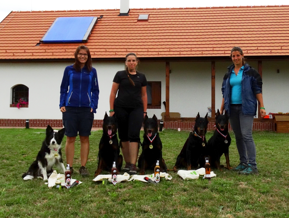 beauceron-herding-trial-troupeaux.jpg