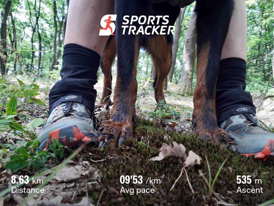 beauceron-hiking-running-trail.jpg